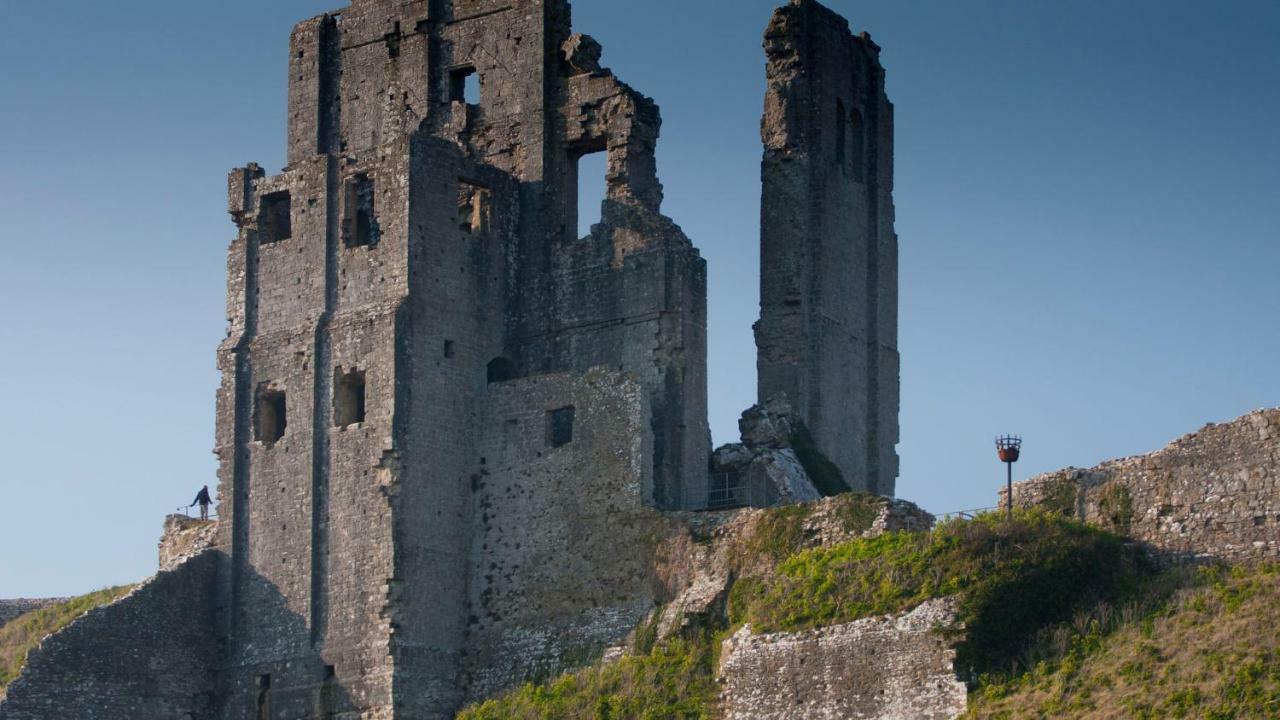 Ammonite Bed & Breakfast Corfe Castle Buitenkant foto