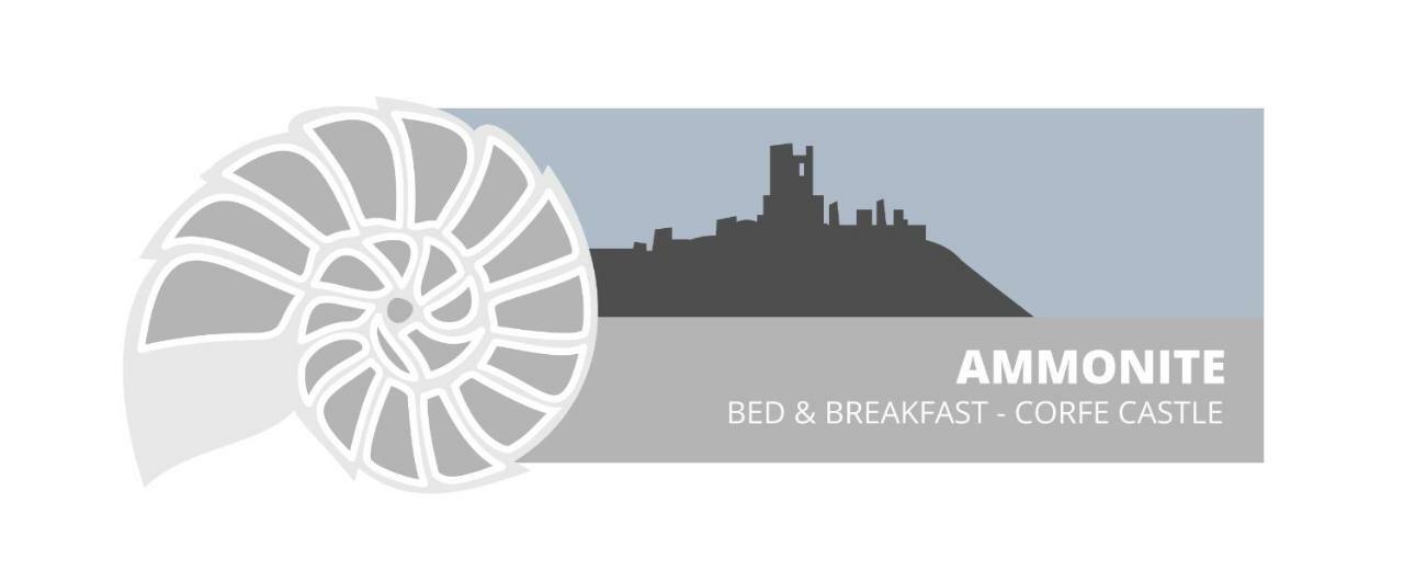 Ammonite Bed & Breakfast Corfe Castle Buitenkant foto