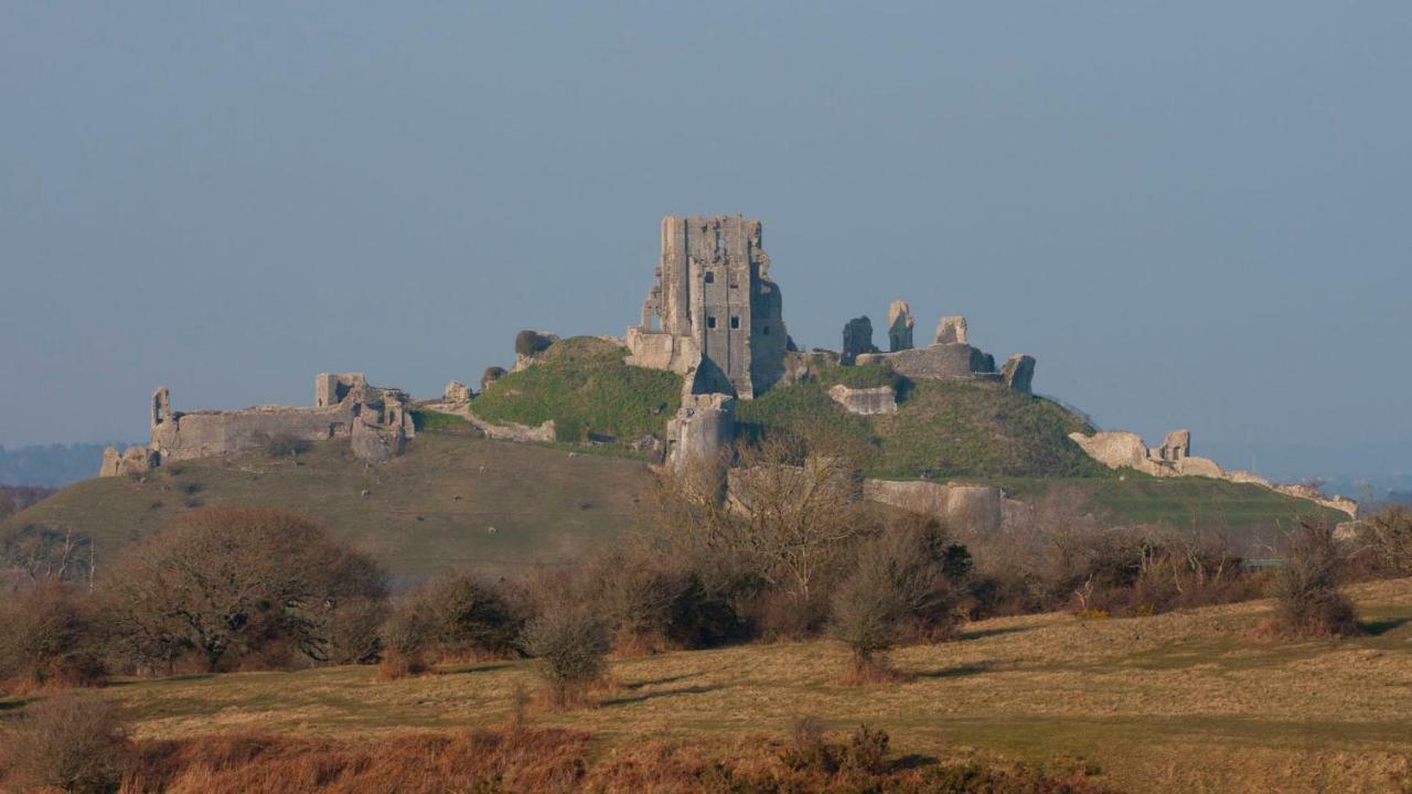 Ammonite Bed & Breakfast Corfe Castle Buitenkant foto